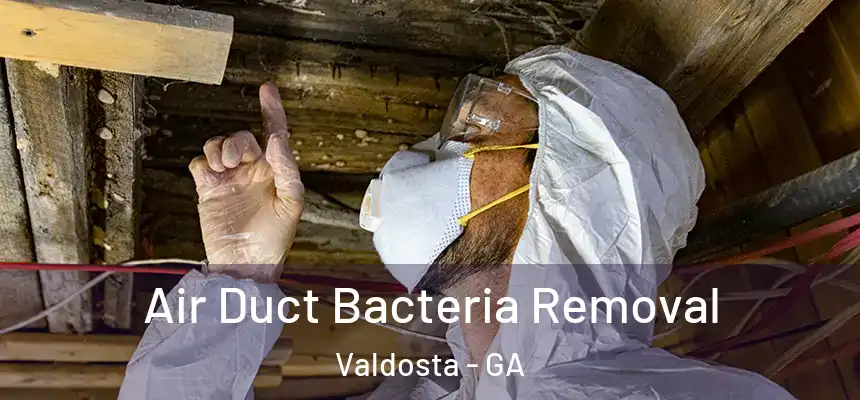 Air Duct Bacteria Removal Valdosta - GA
