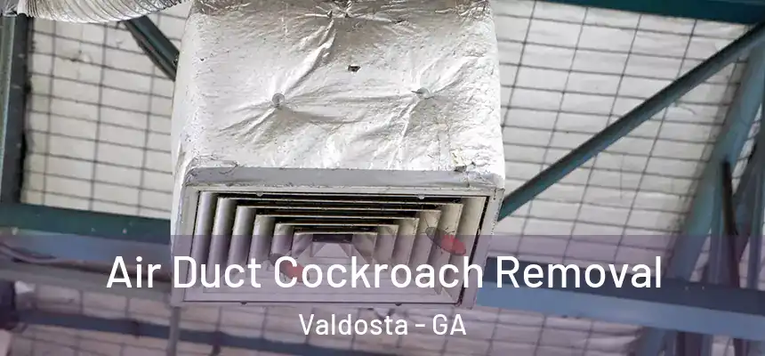Air Duct Cockroach Removal Valdosta - GA