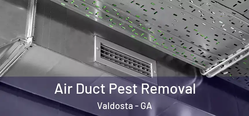  Air Duct Pest Removal Valdosta - GA