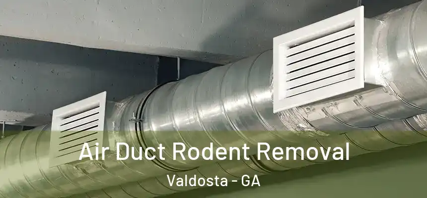  Air Duct Rodent Removal Valdosta - GA