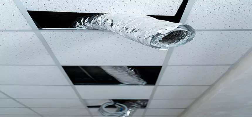 Affordable HVAC Sanitizing After Pest Removal in Valdosta