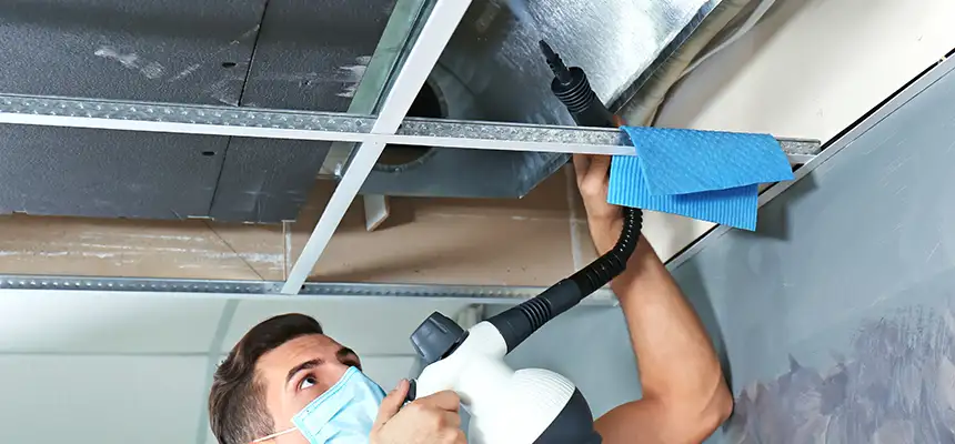 Our Air Duct Rodent Removal Services in Valdosta, GA