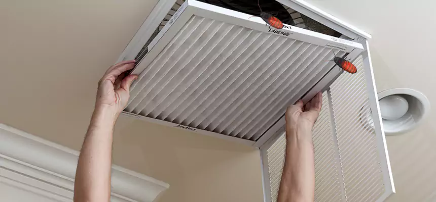 Our Insect Removal from Air Ducts Services in Valdosta, GA