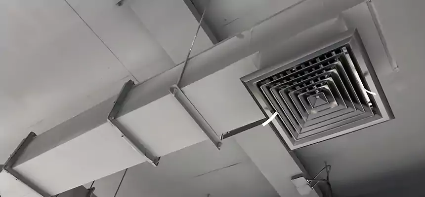 Our Rodent Droppings In Vents Services in Valdosta, GA