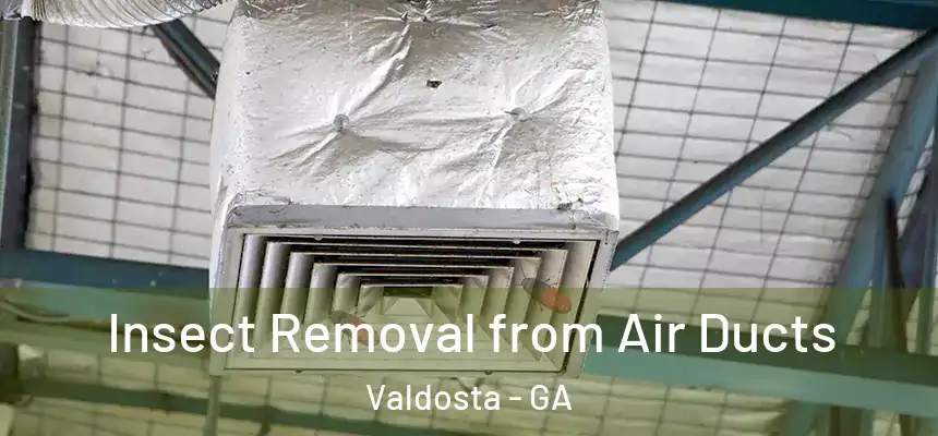 Insect Removal from Air Ducts Valdosta - GA