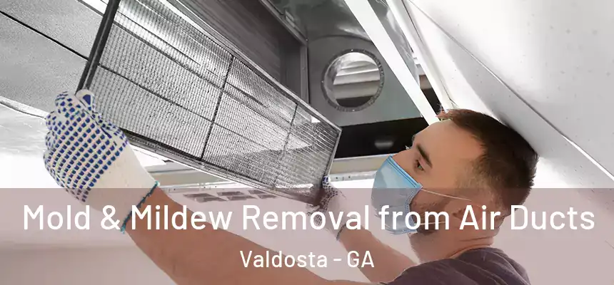Mold & Mildew Removal from Air Ducts Valdosta - GA