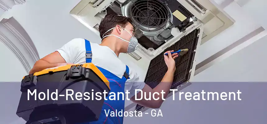  Mold-Resistant Duct Treatment Valdosta - GA