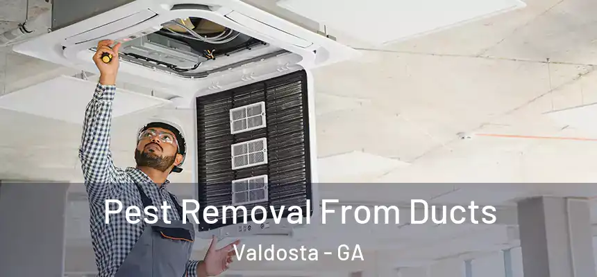 Pest Removal From Ducts Valdosta - GA