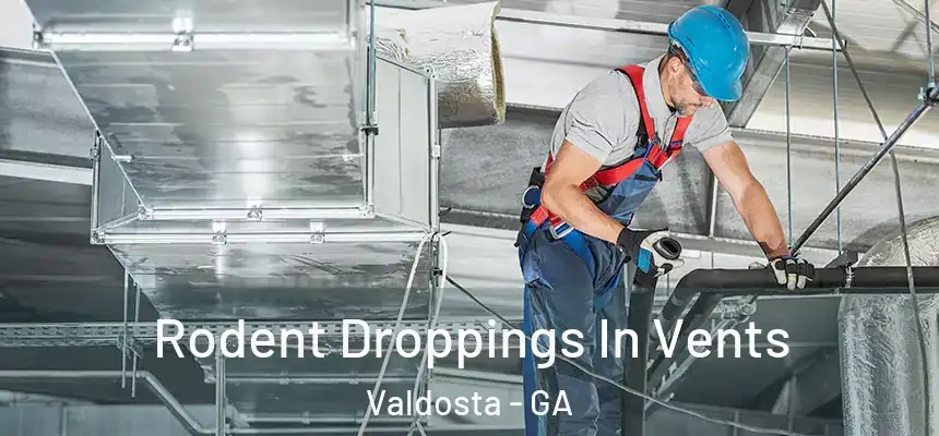  Rodent Droppings In Vents Valdosta - GA