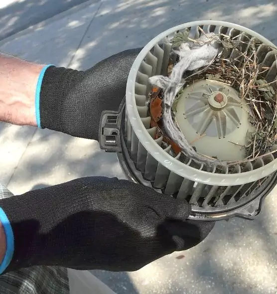 About Air Duct Mice Removal in Valdosta, GA