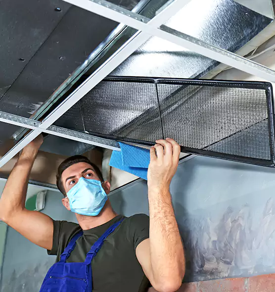 Professional Air Duct Pollen Cleaning in Valdosta, GA