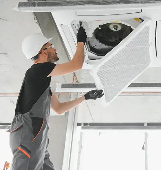 About Air Duct Rodent Removal in Valdosta, GA