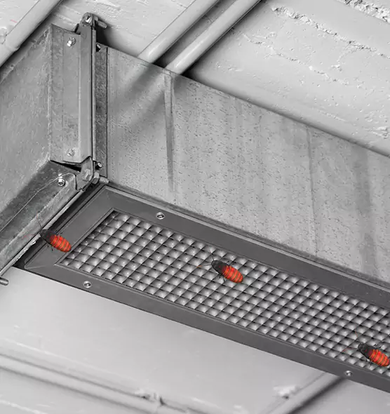 Affordable Insect Removal from Air Ducts in Valdosta, GA