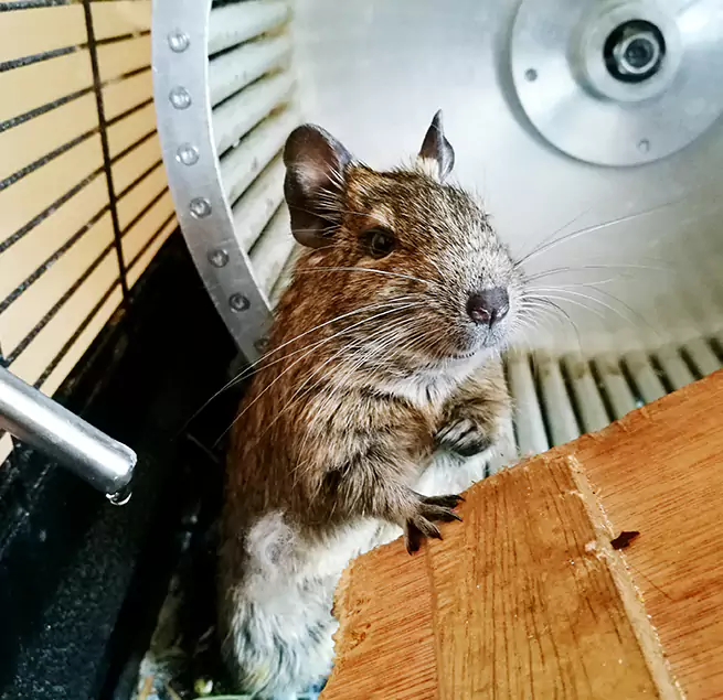 Why Homeowners & Businesses Trust Us Valdosta, GA