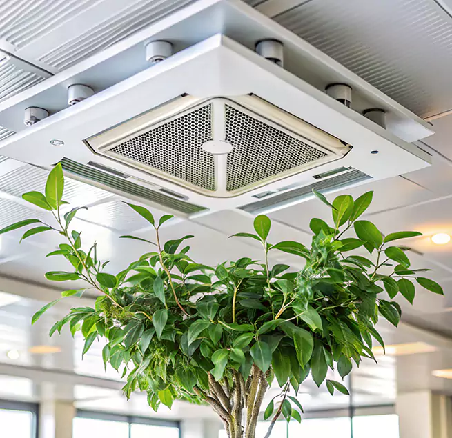 Why Homeowners & Businesses Trust Us in Valdosta, GA?