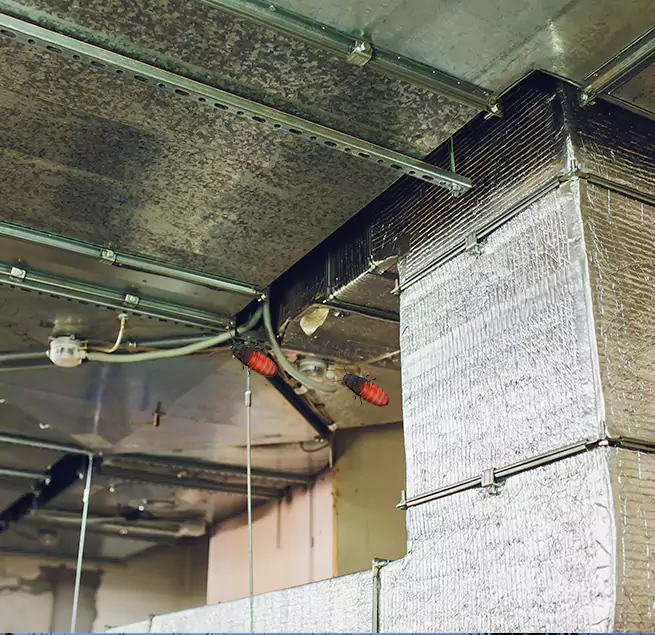 Why Homeowners & Businesses Trust Us Valdosta, GA?