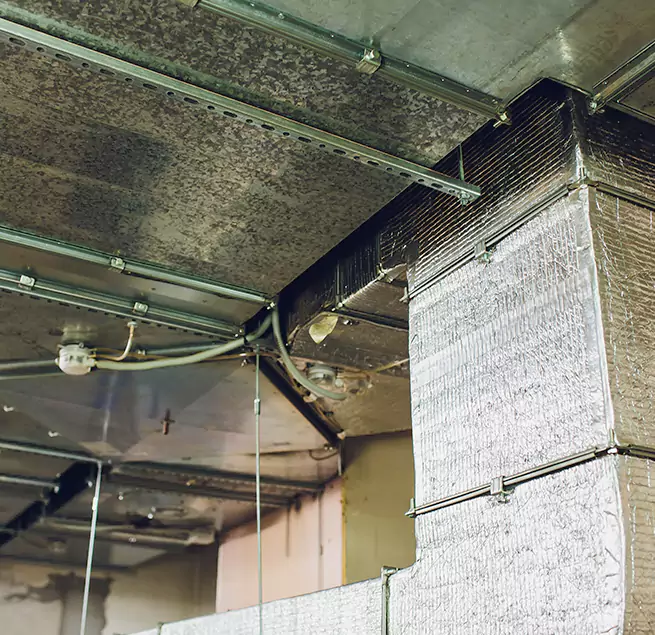 Why Homeowners & Businesses Trust Us in Valdosta, GA?